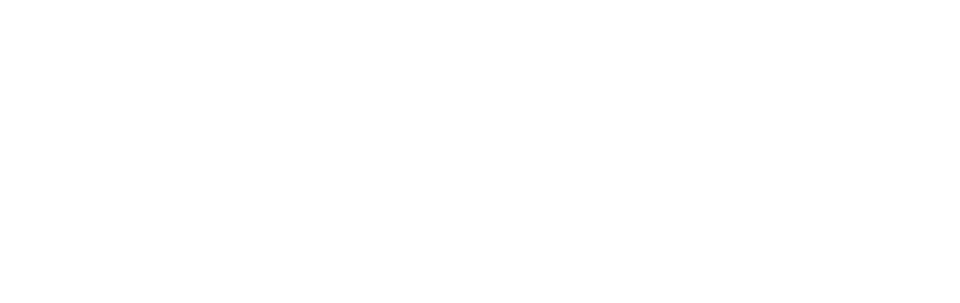 The Noodles